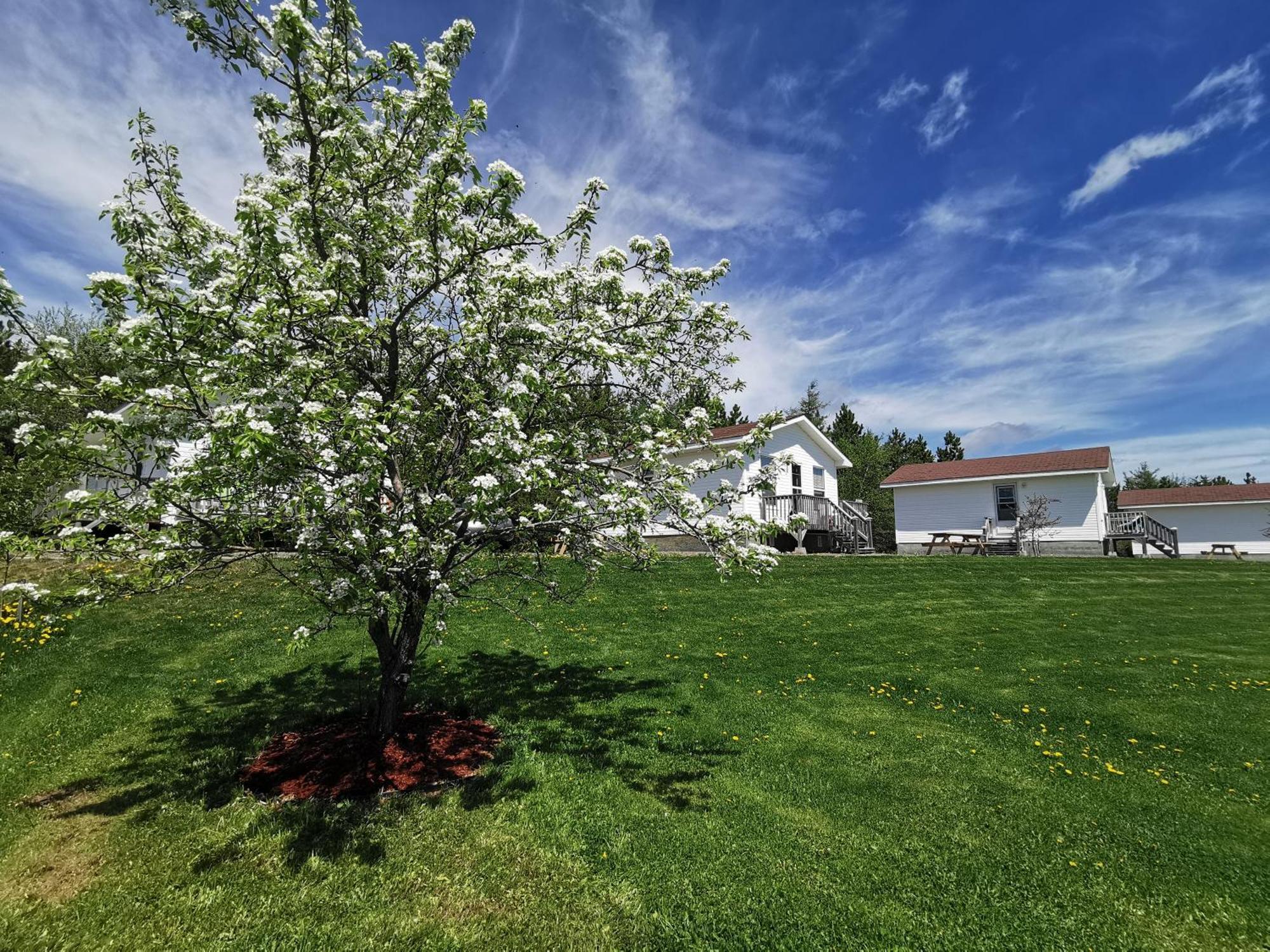 L'Ancrage Bed&Breakfast Saint Louis de Kent Extérieur photo